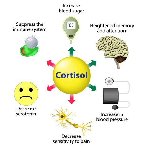 cortisol o que é